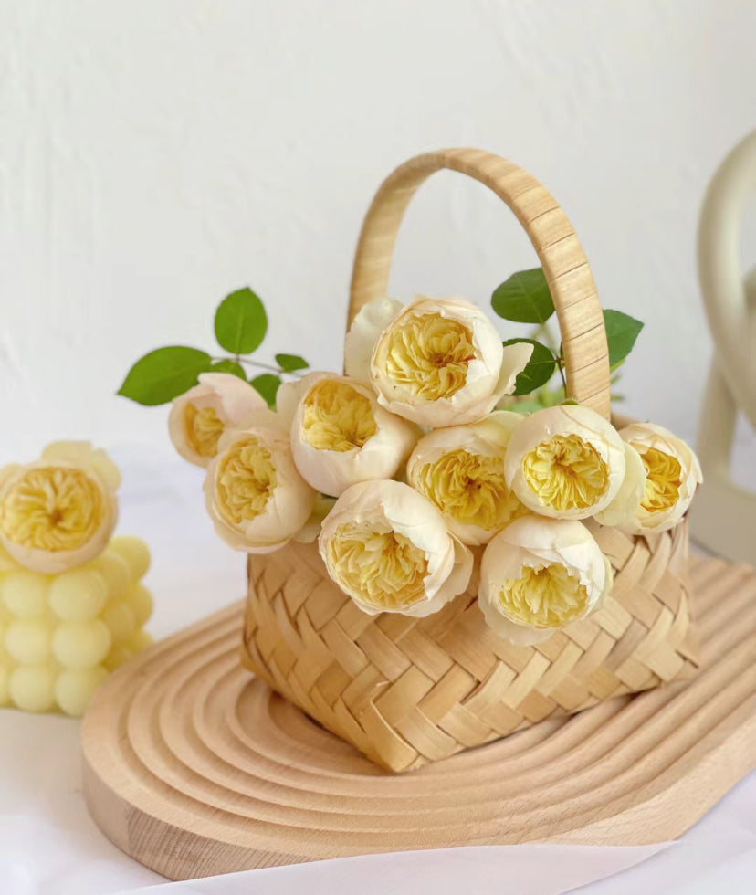 Rose Bird's Whisper 雀啾 1 Gallon live plant Shrub Rose, Long Blooming Period, Resilience To High Humidity And Heat,Strong Disease Resistance, Own Root
