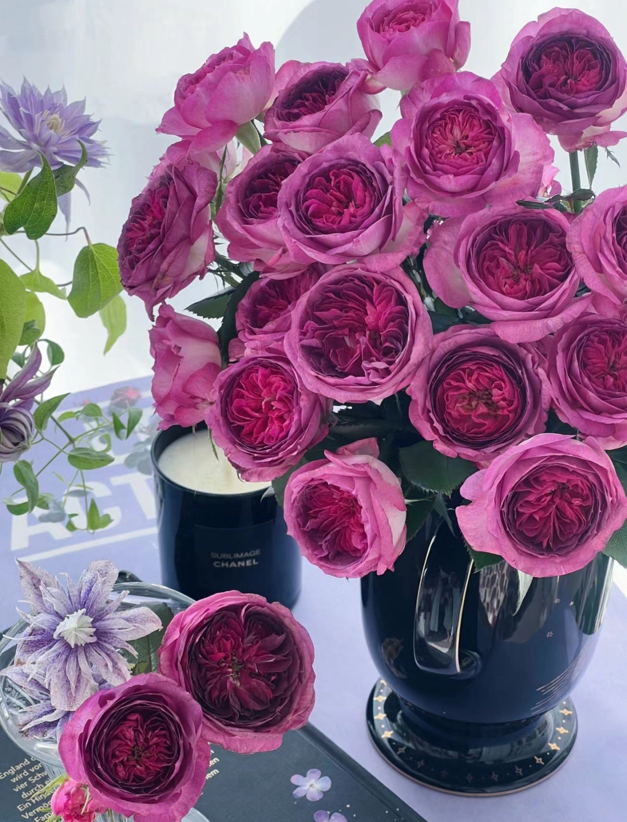 Thierry Marx 蓝莓蛋糕, Floribunda Rose 6inch to 1 Gallon live plant