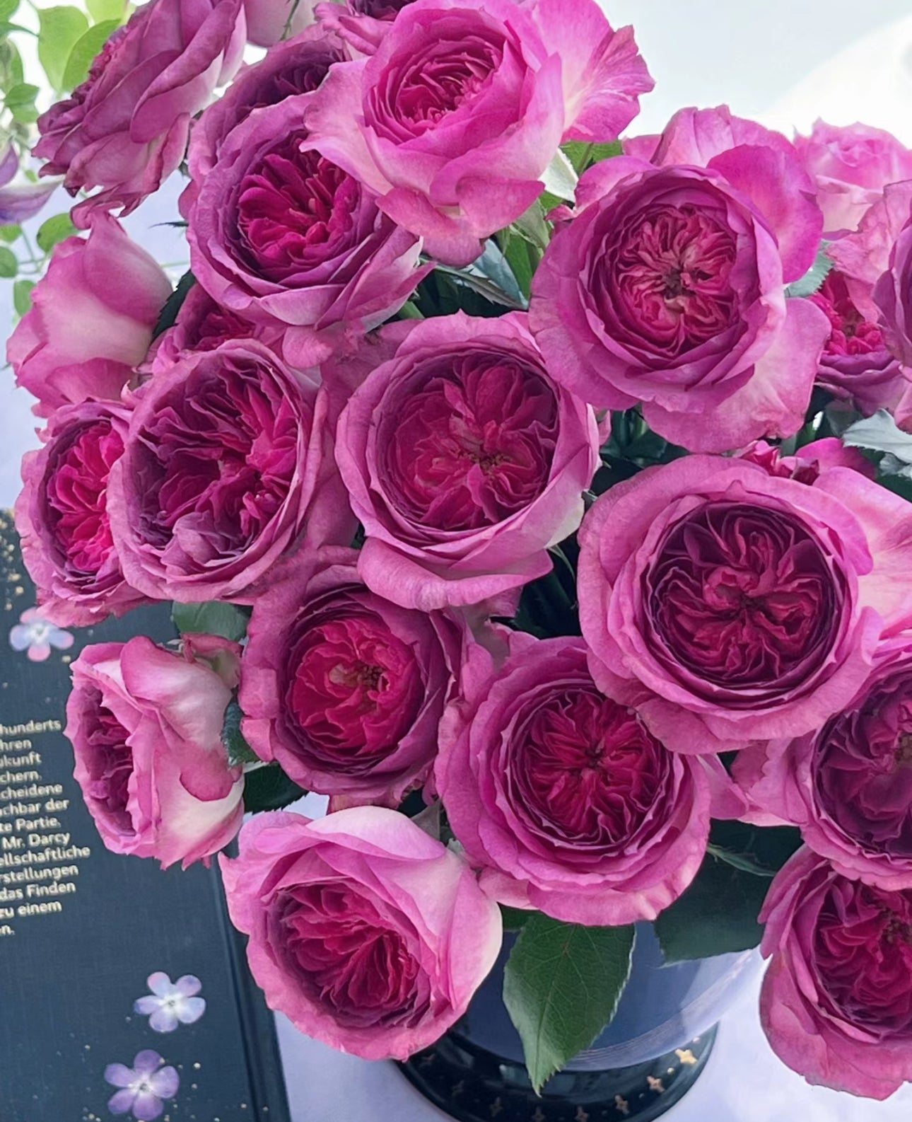Thierry Marx 蓝莓蛋糕, Floribunda Rose 6inch to 1 Gallon live plant