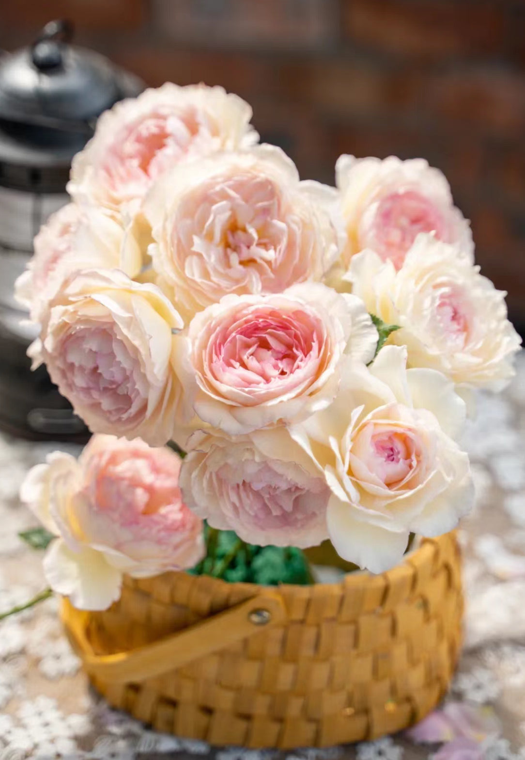 Rose YuWanSha 玉碗纱 1 gallon size
