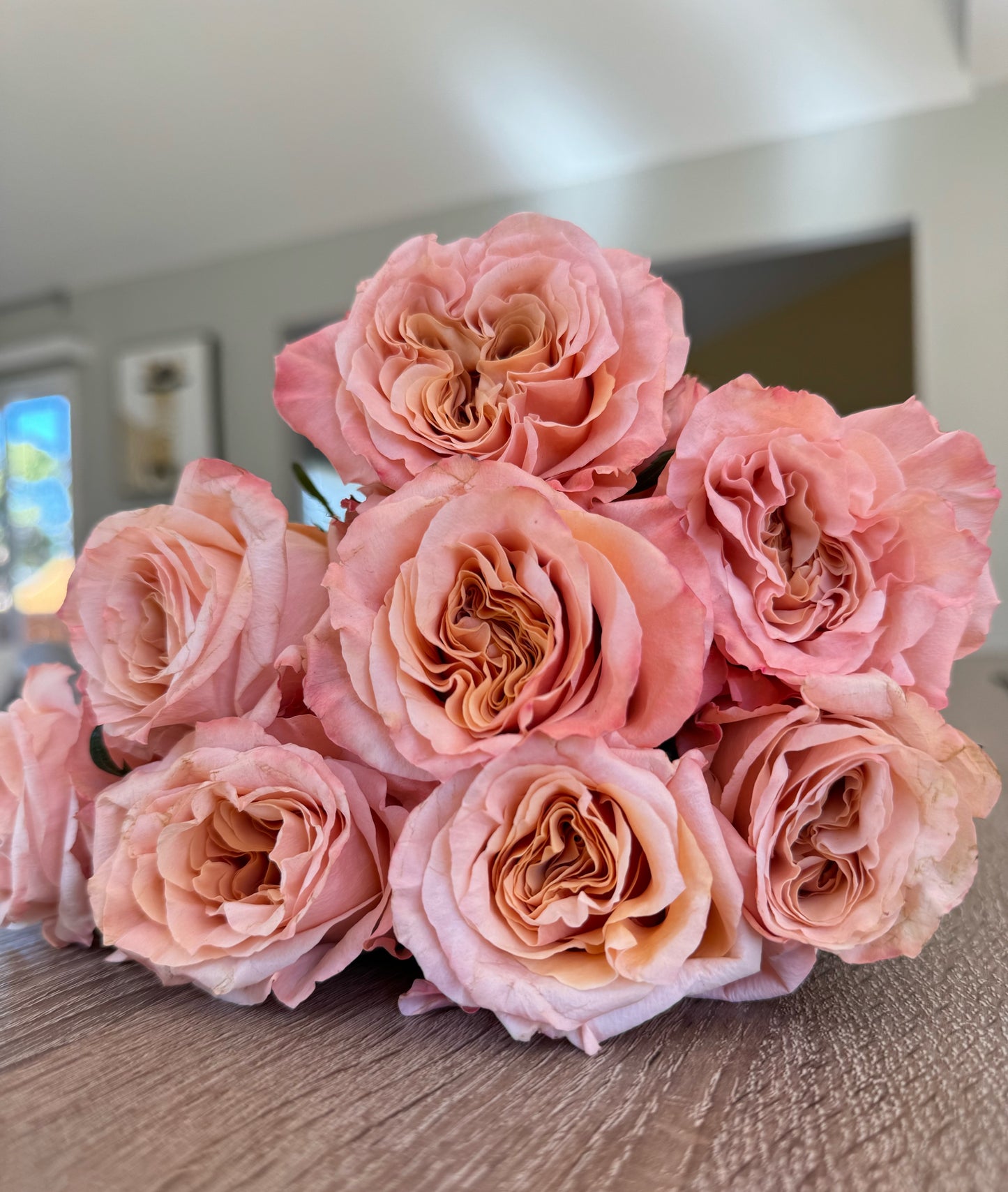 Rose Shimmer 1 Gallon pot