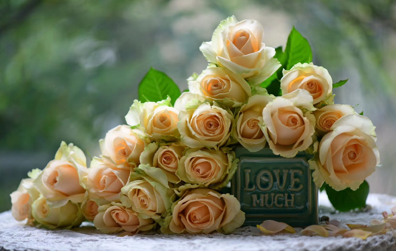 Special deal Rose Peach Avalanche 1 Gallon size