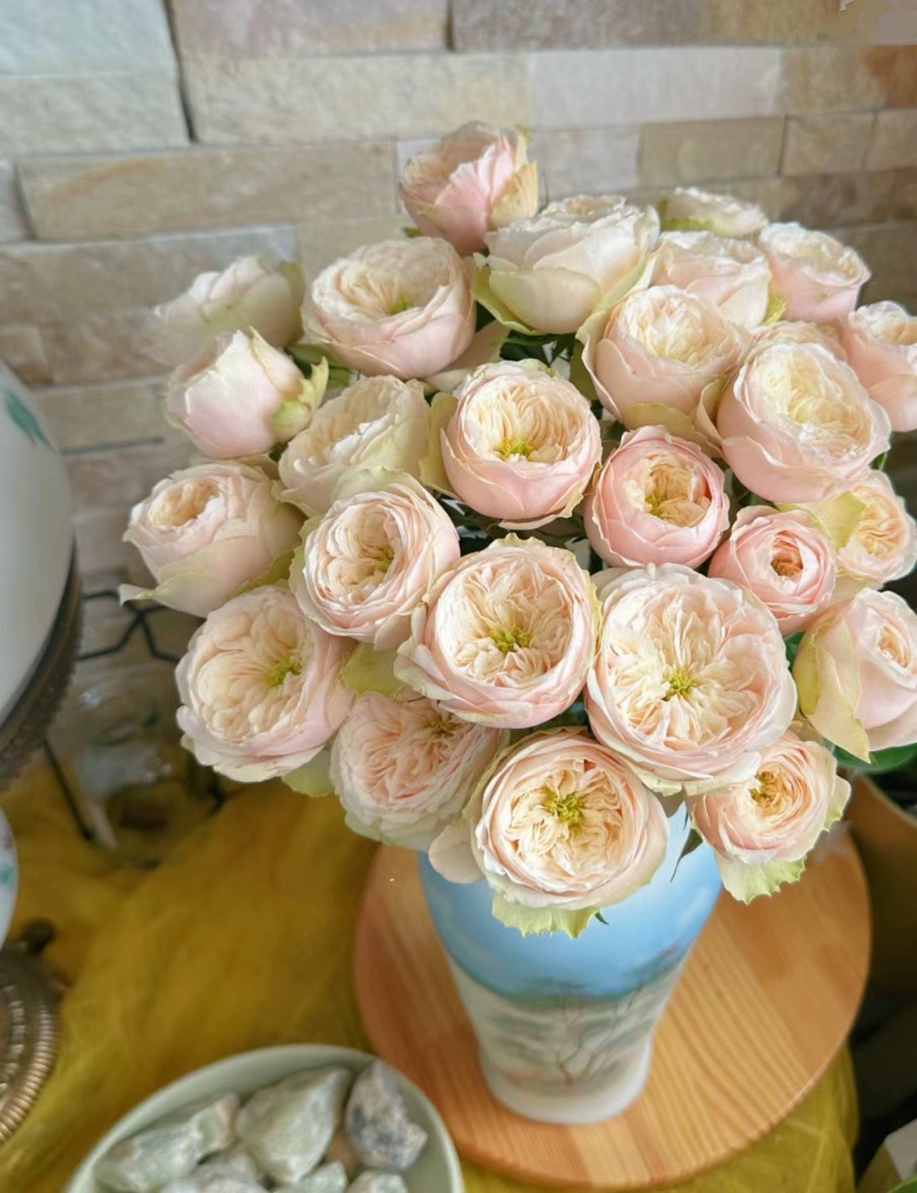 PRE-ORDER Rose Darlington- Cutting Rose 6 inch size