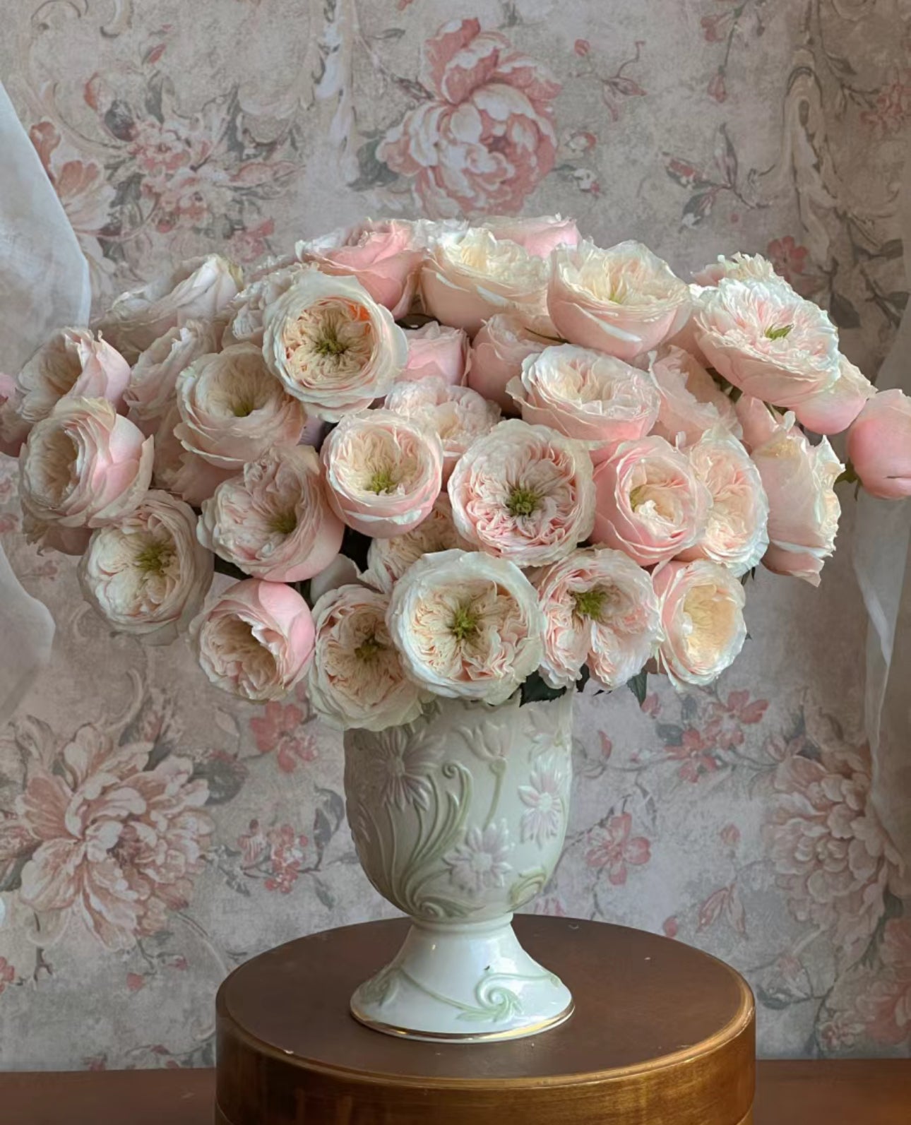 PRE-ORDER Rose Darlington- Cutting Rose 6 inch size