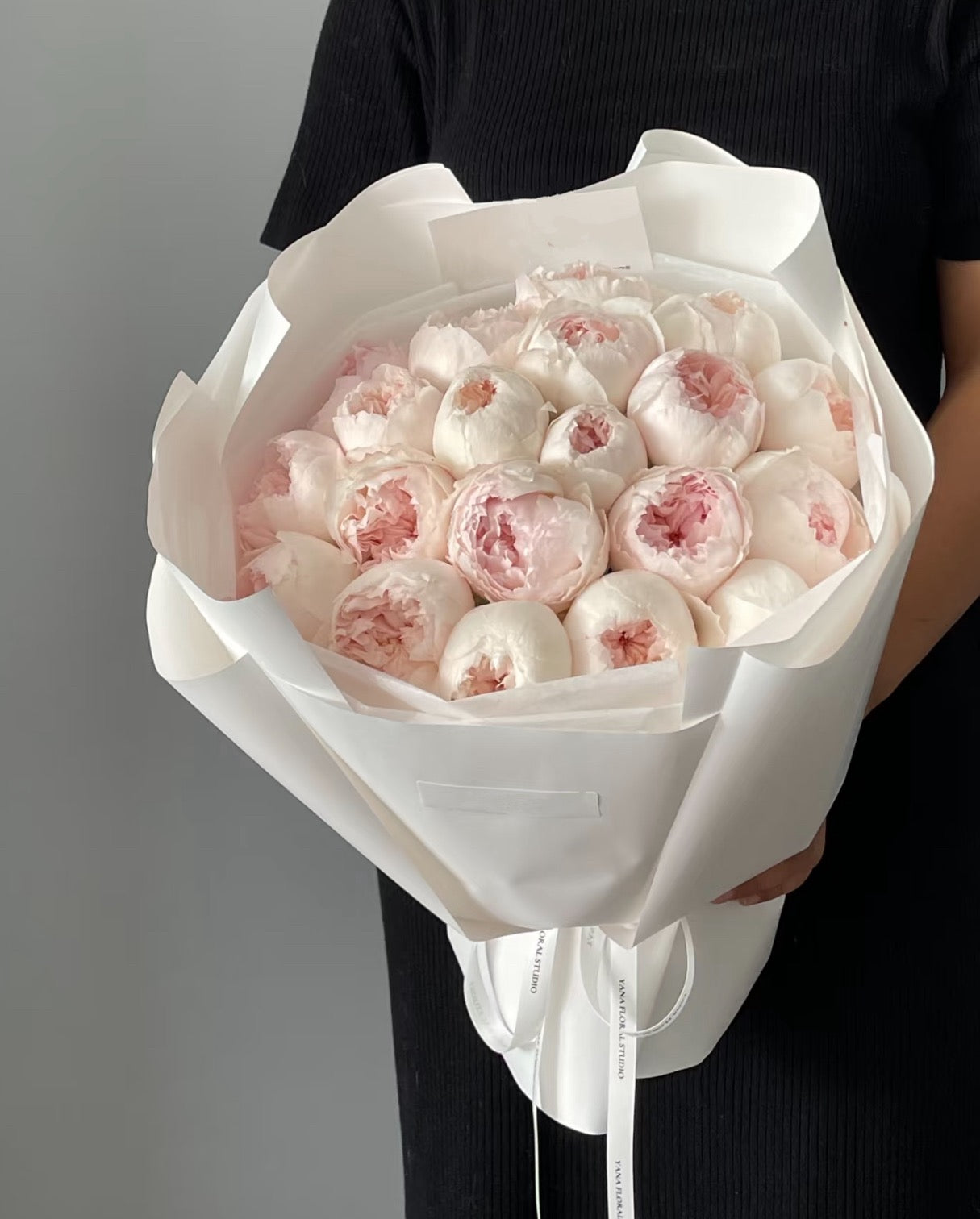 Rose Cocotte 可爱瓷 6 inch size own roots