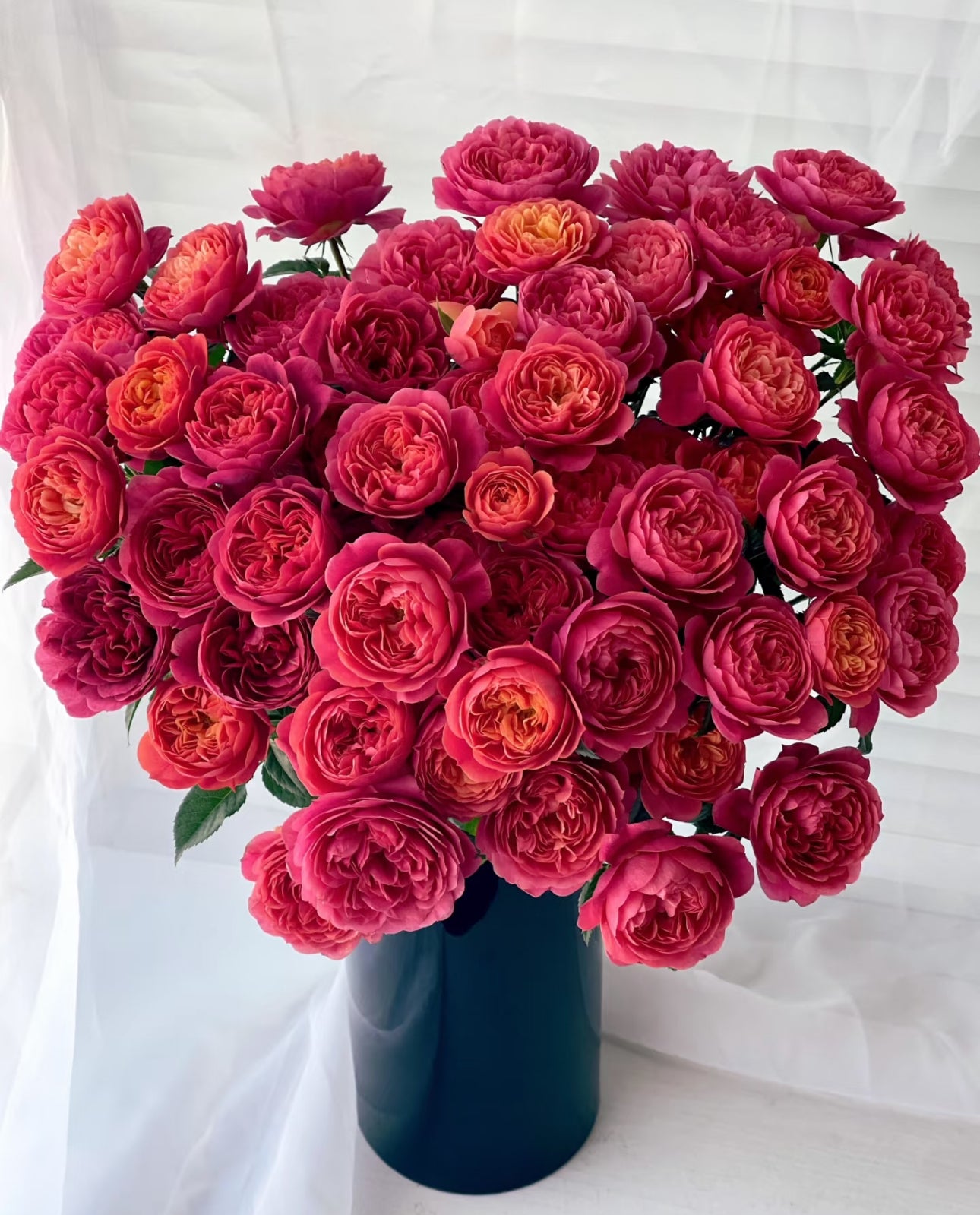 Juicy Terrazza Dark red 绝色果汁 1 Gallon size
