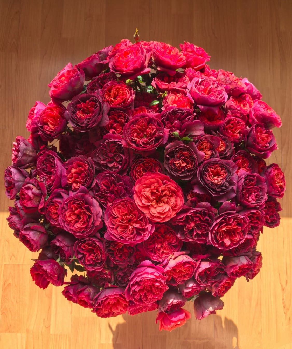 Juicy Terrazza Dark red 绝色果汁 1 Gallon size