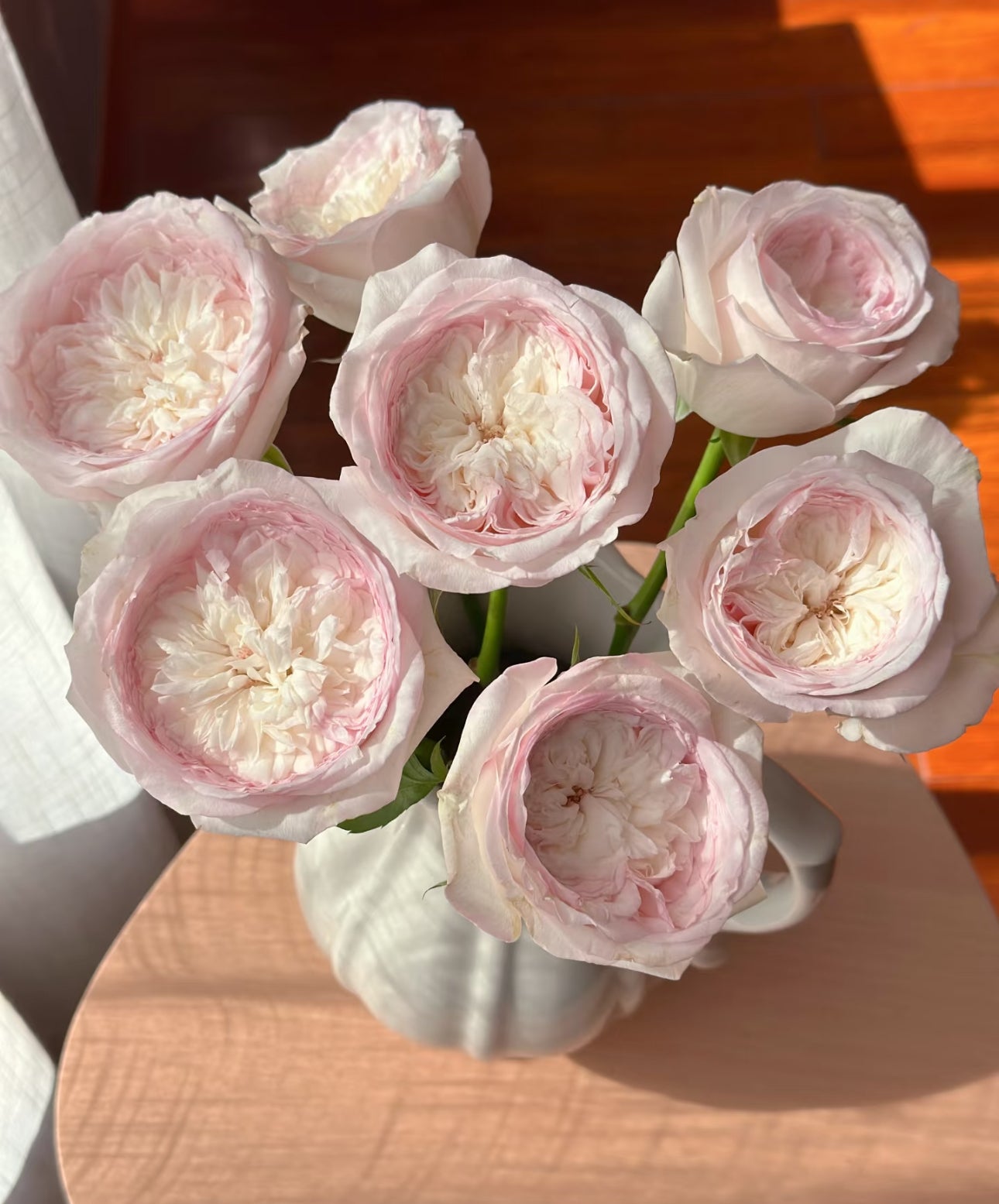 Rose Special Bride 1 Gallon size