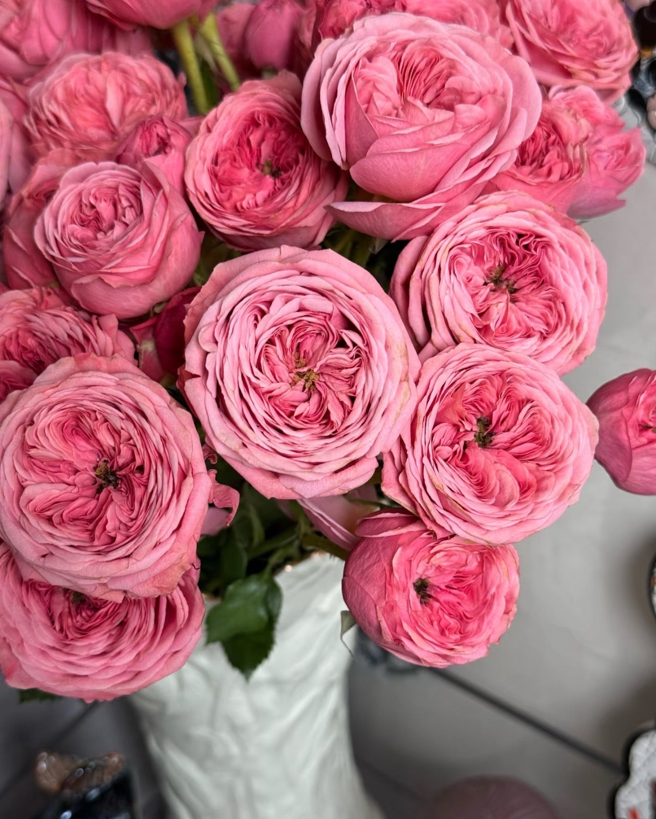 Pre-Order Bella Trendsetter 1 Gallon size