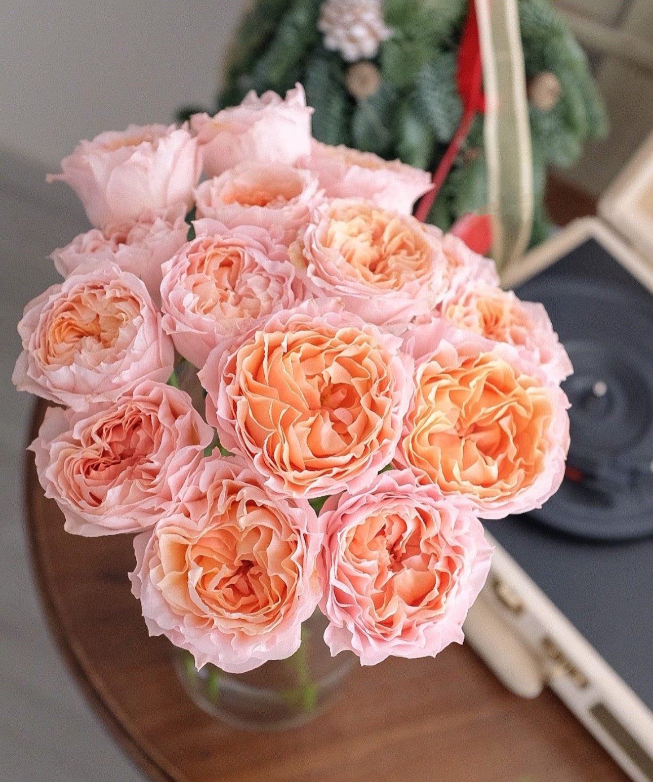 Rose Georgia Peach 蜜桃乔治亚 6inch Size