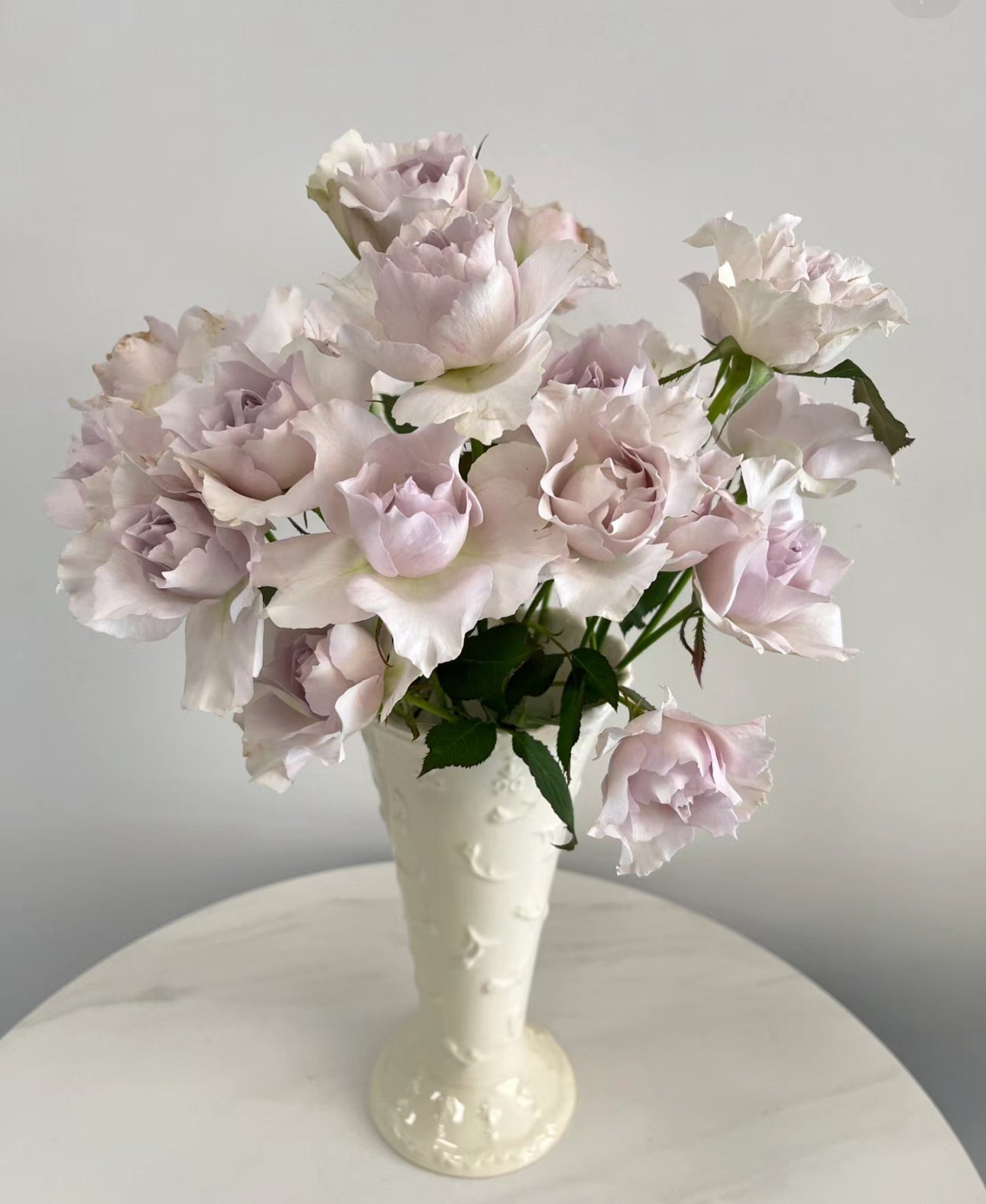 Japanese Rose Saphiret 莎菲天使-6inch size