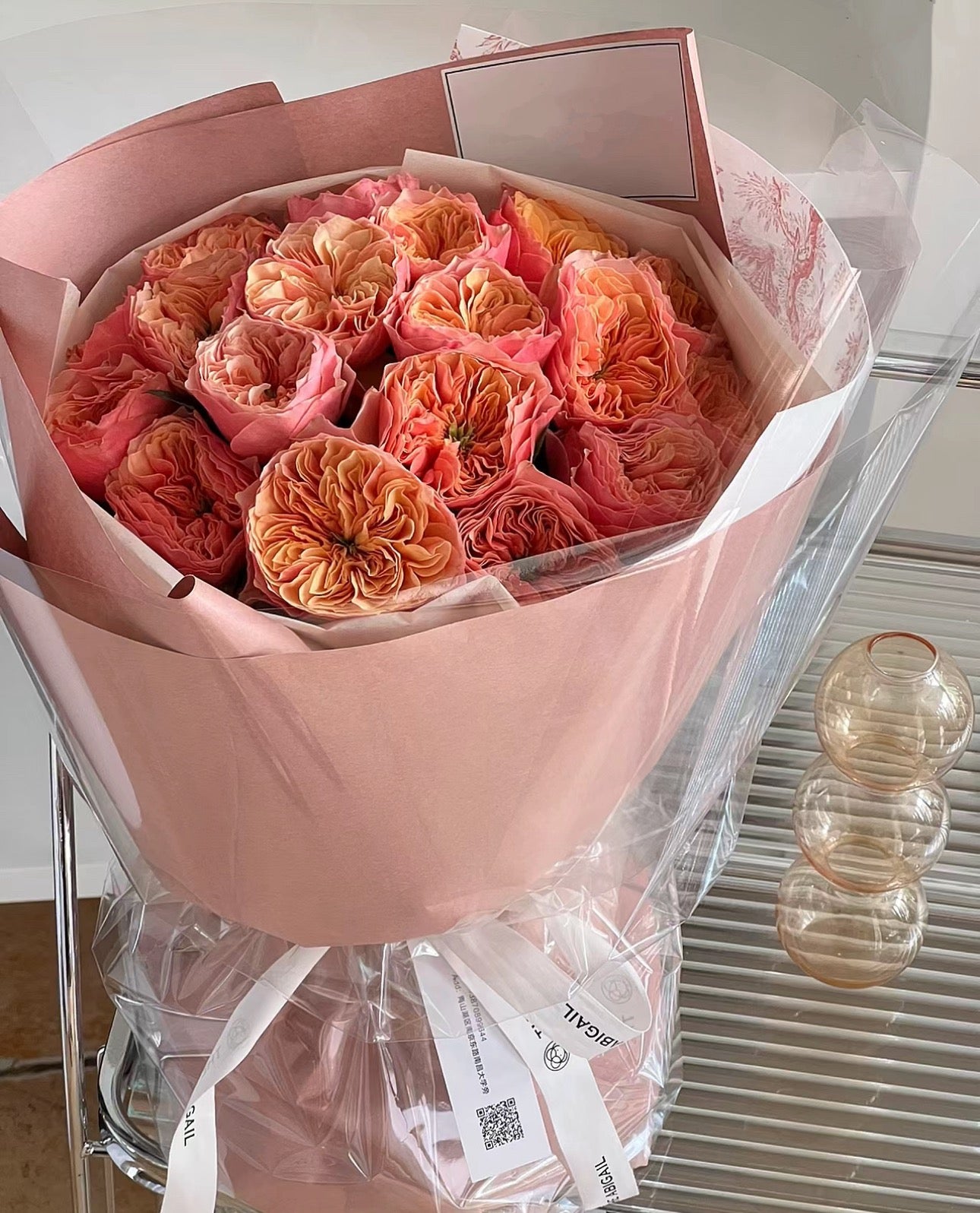 Rose Kensington P 肯辛顿公园 6 inch to 1 gallon size.