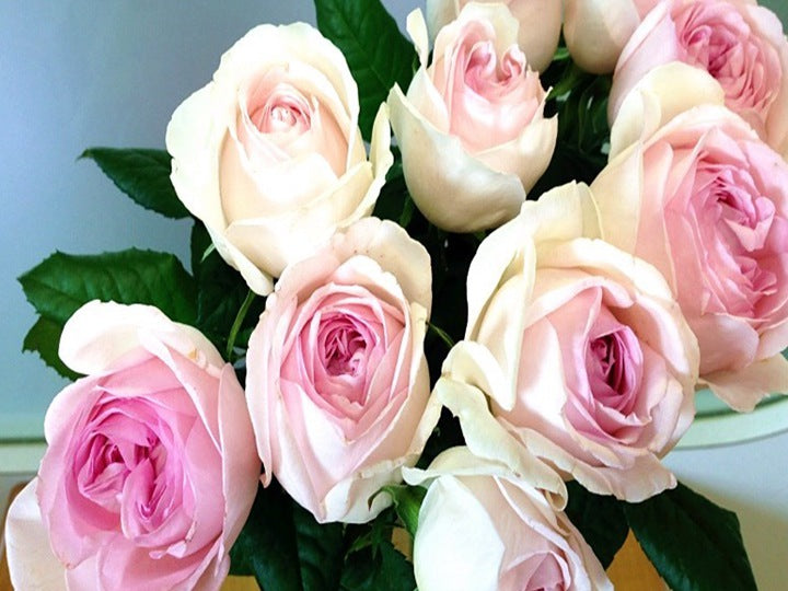 Rose Wedding Box -1 Gallon pot