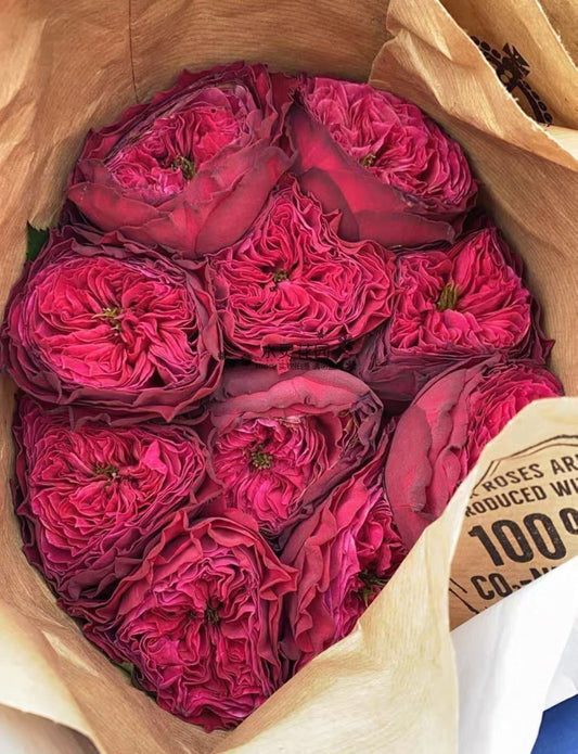 Julieta Raspberry Products – Youna Botanic