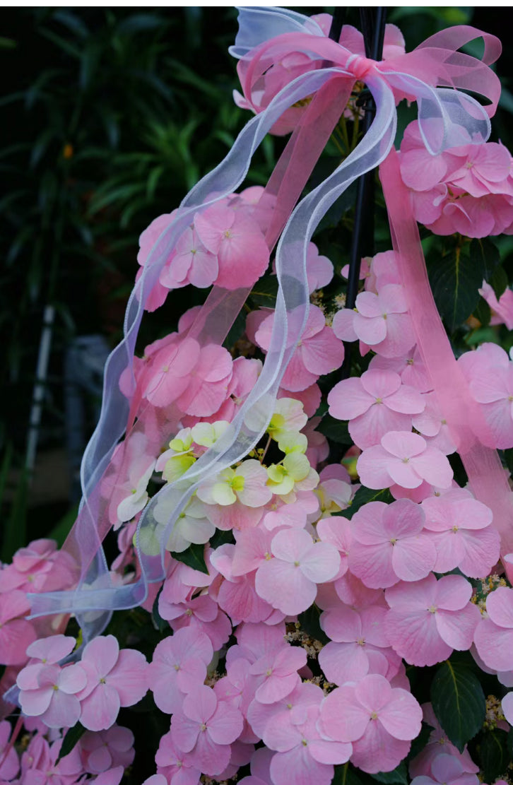 Hydrangea Fairytail Bride Cascade  (粉落跑新娘） -Shrub and Climbing 3 Gallon