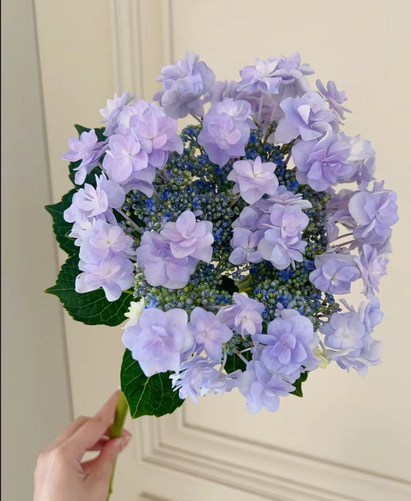 Corsage （头花）  1 Gallon size