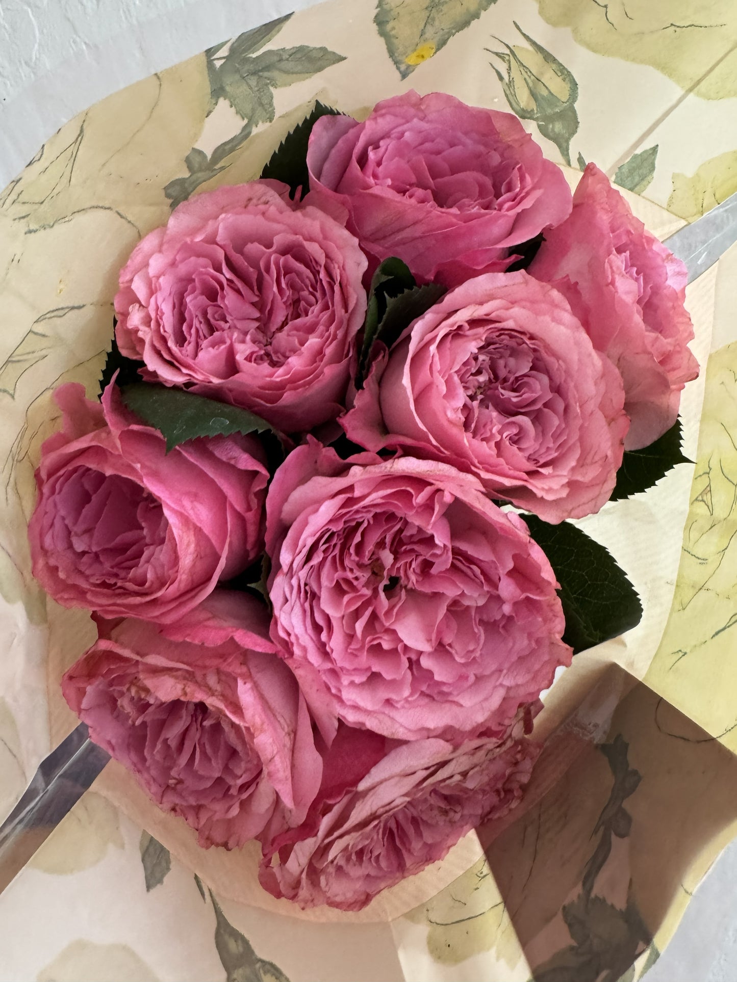 Rose Mayra's Pink 4inch.