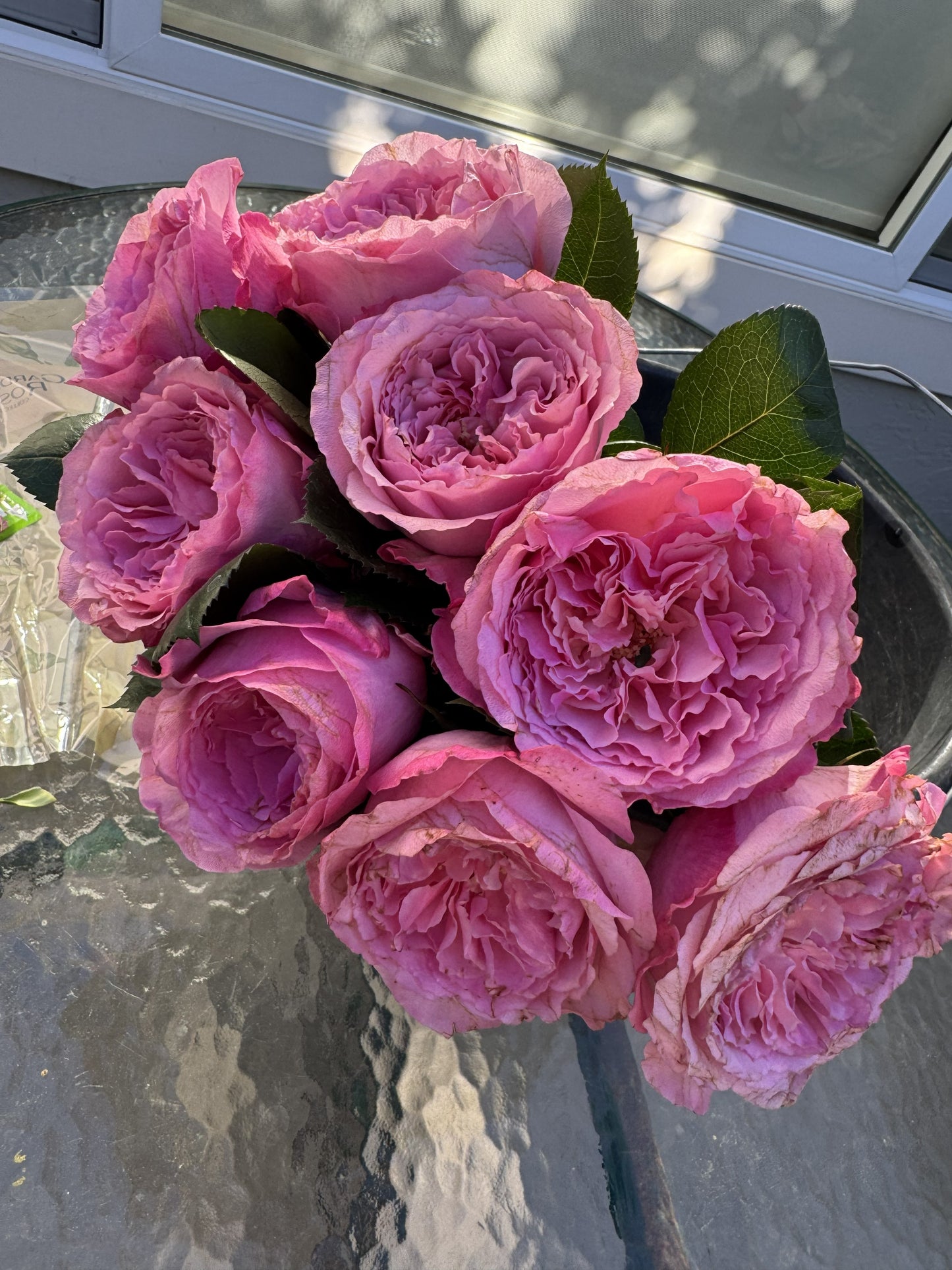 Rose Mayra's Pink 4inch.