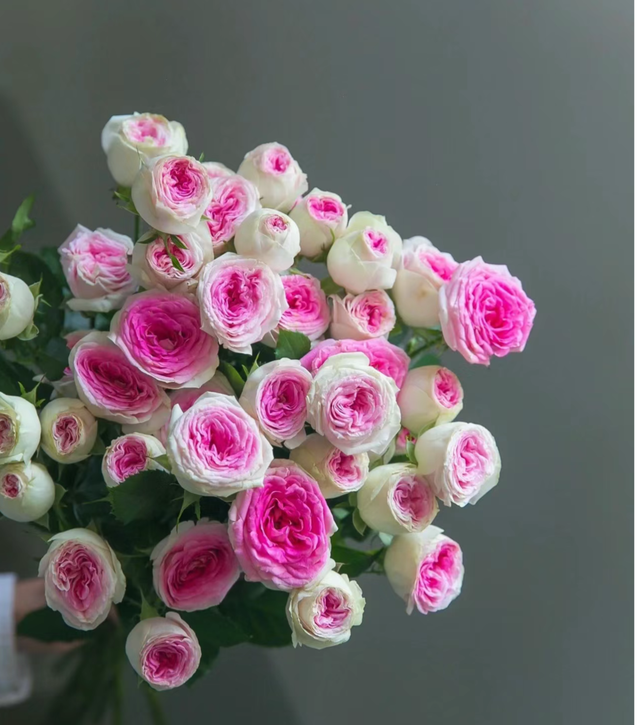 Rose Gelato 冰淇淋- 6inch