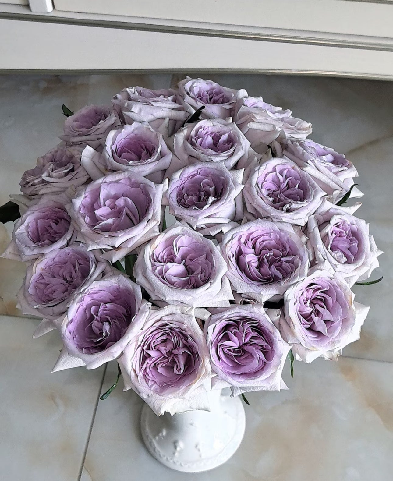 Pre-Order Purple O’Hara ( Lychee )1 Gallon own roots