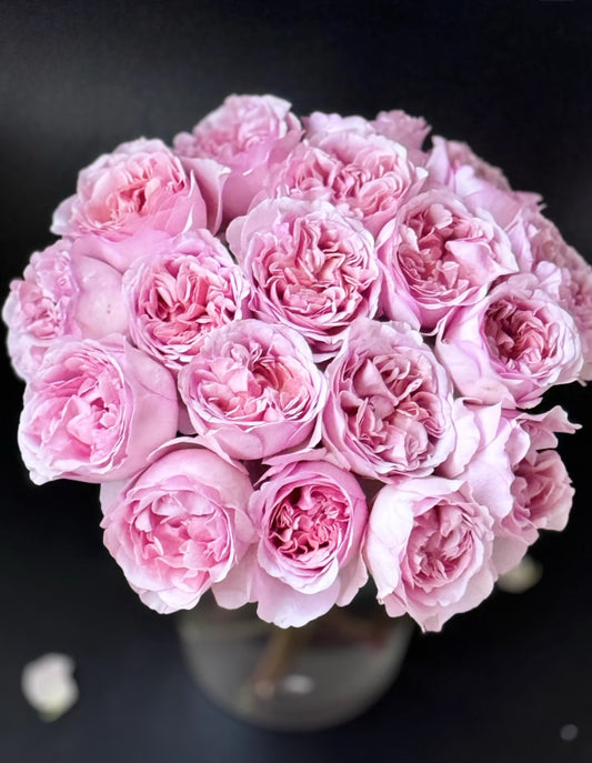 Pre-order Chocolate Romantica 巧克力浪漫 1 Gallon size