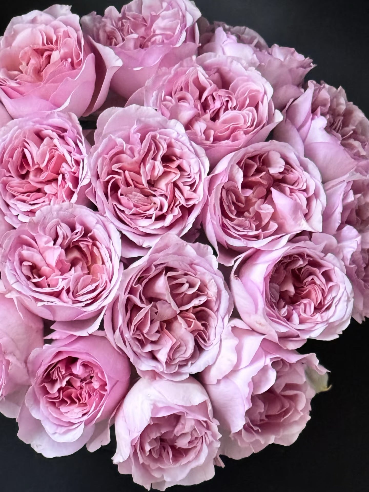 Pre-order Chocolate Romantica 巧克力浪漫 1 Gallon size