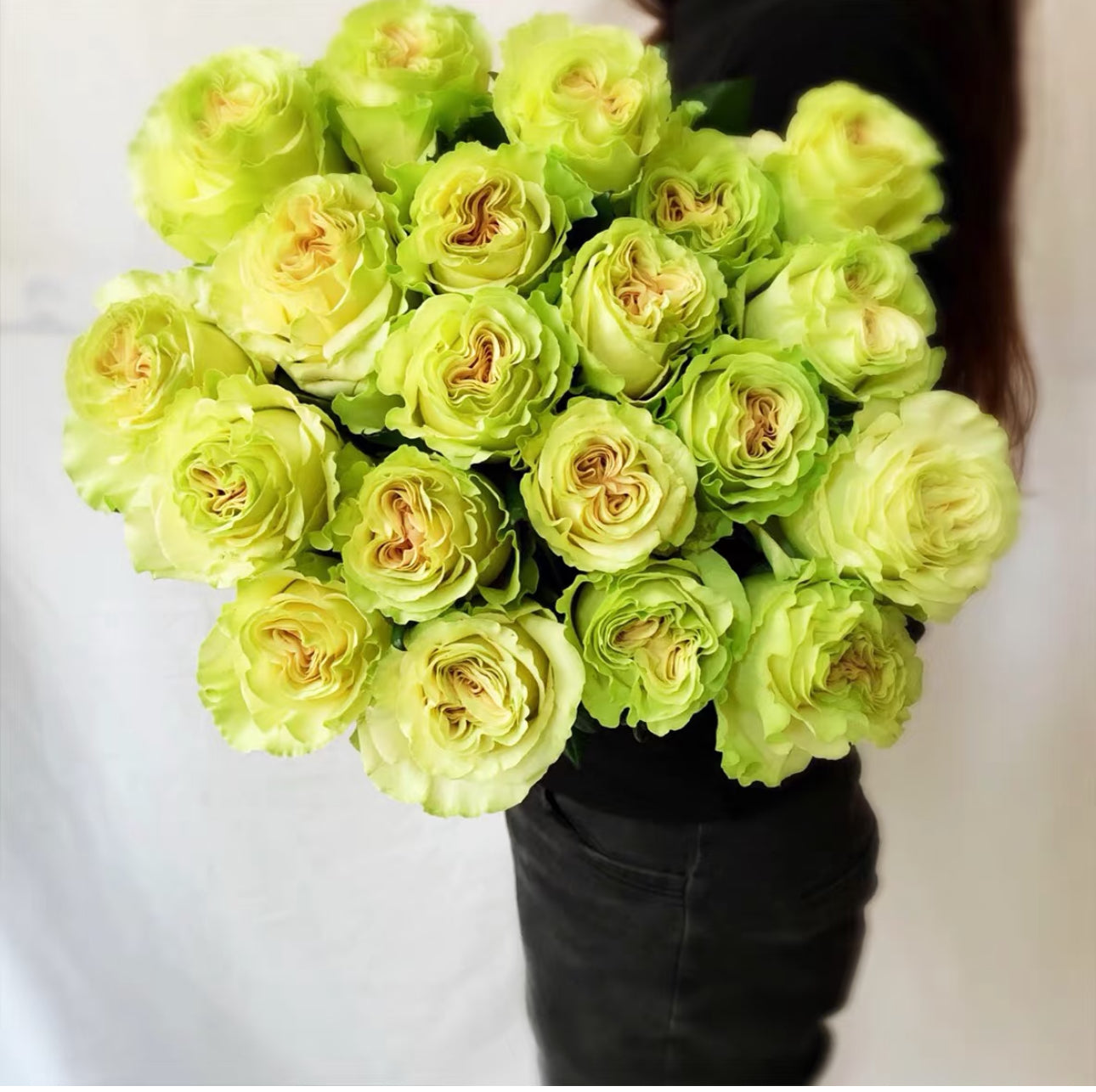 Rose Dynamic -1 Gallon size