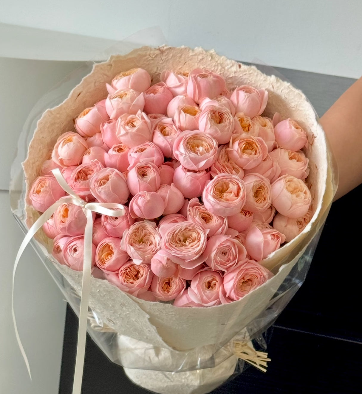 Rose SPS  about 6inch to 1 Gallon size