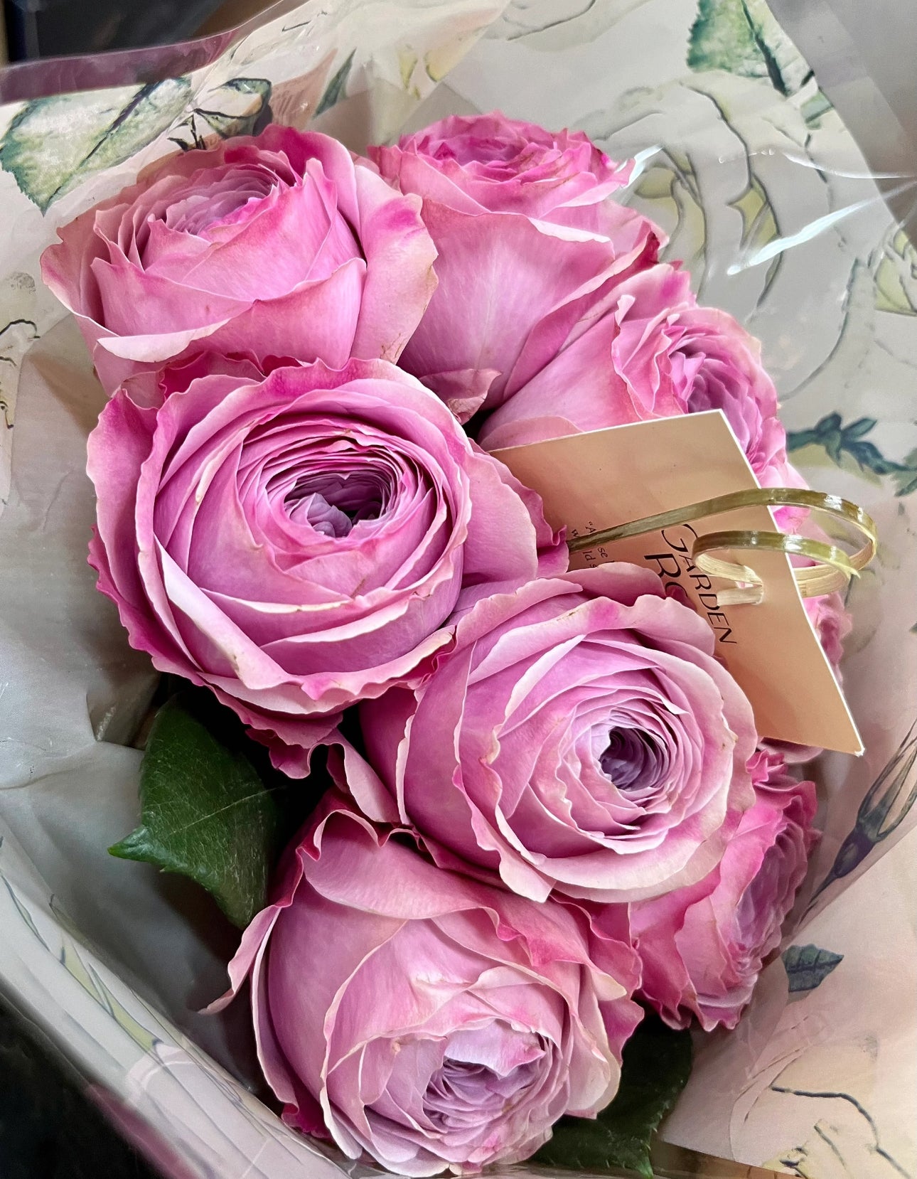 Peony Kiss 6inch size