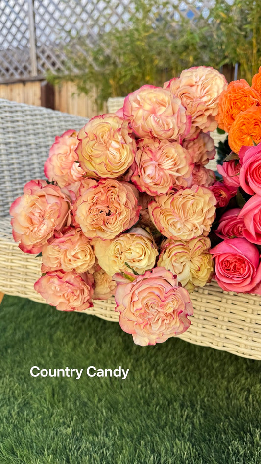 Pre-Order Country Candy 1 Gallon