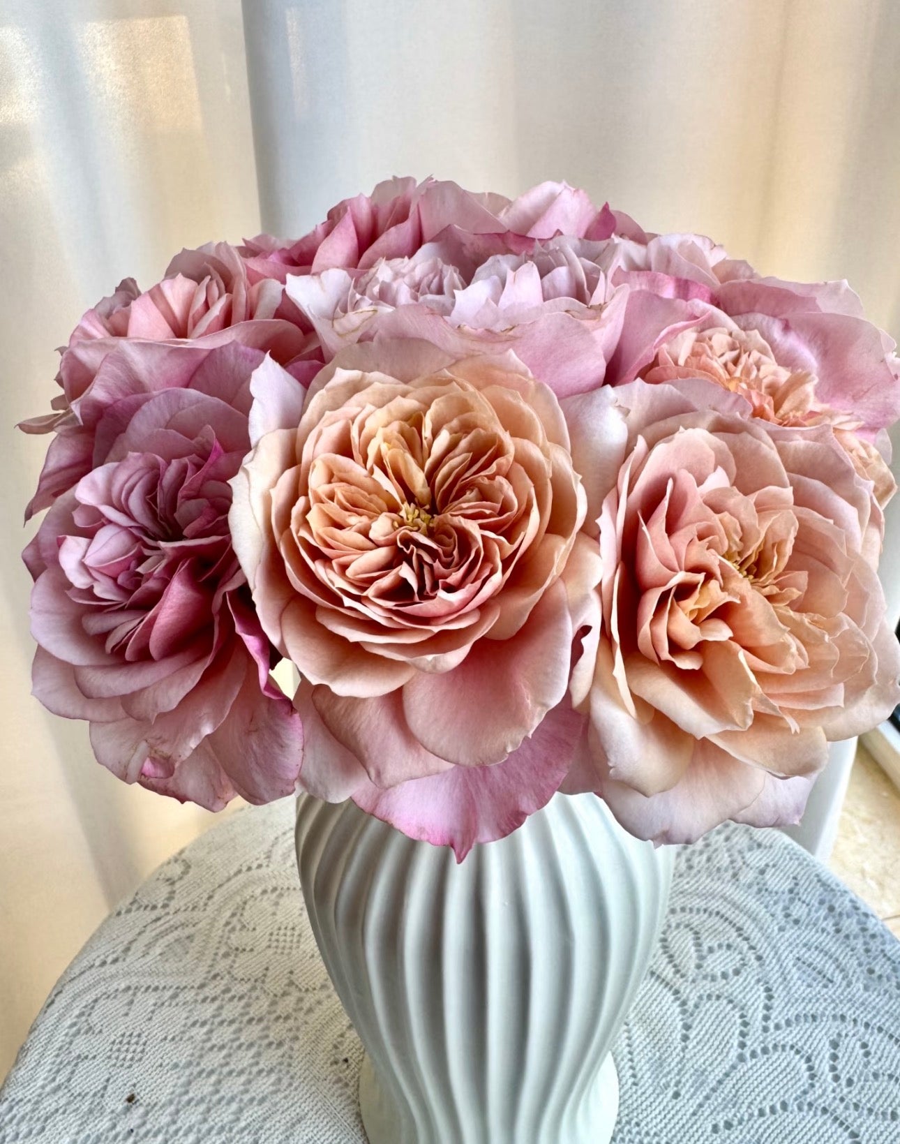 Mayabi Cha 4inch size own root