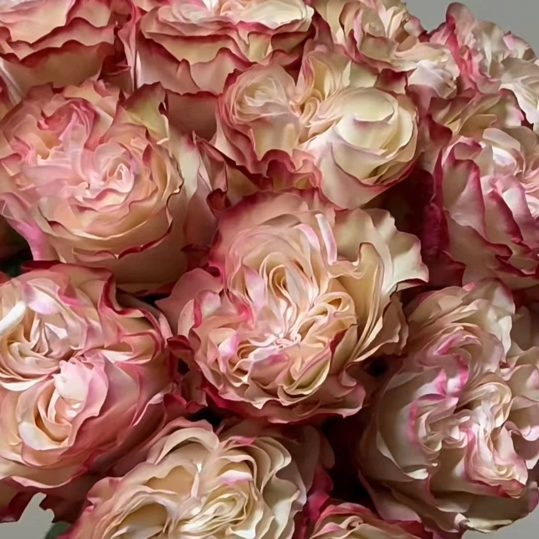 Pre-Order Country Candy 1 Gallon