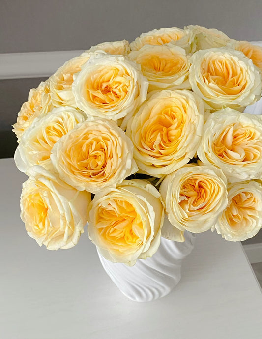 Rose Butter Cup 1 Gallon size